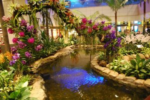 403783_4140469751394_199651983_n