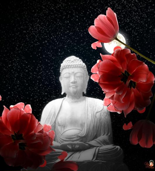 169526_3120423149051_25831866_o