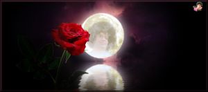 778856_3657778902609_859507930_o