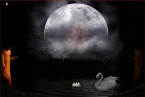 859554_3785224328665_1595273250_o