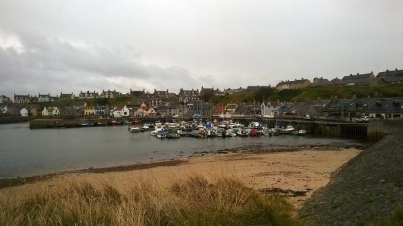 14682179_10210912717513294_3369075531239278082_o